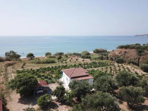 BIZOS Beach