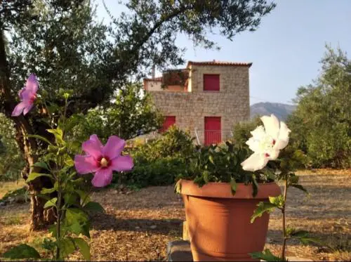 Helios-Selene Villa