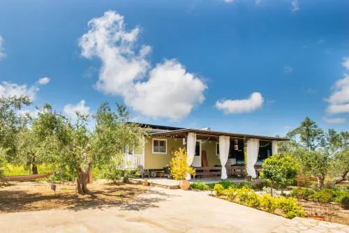 Hakuna Matata Holidays Agalia with airco & pool in Greek Olive Grove