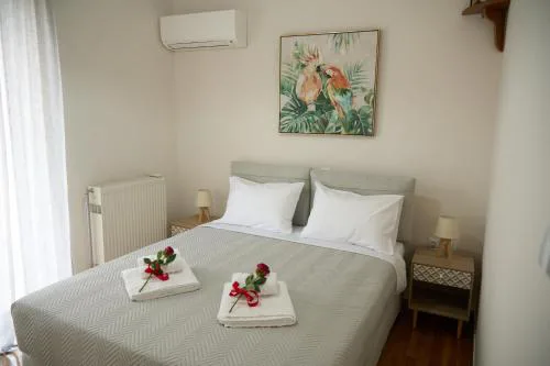 Georgia's Comfort City Center apartment