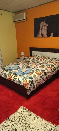 Cozy house 3