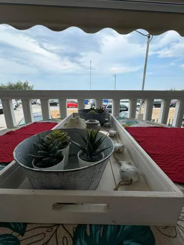 Seaside House