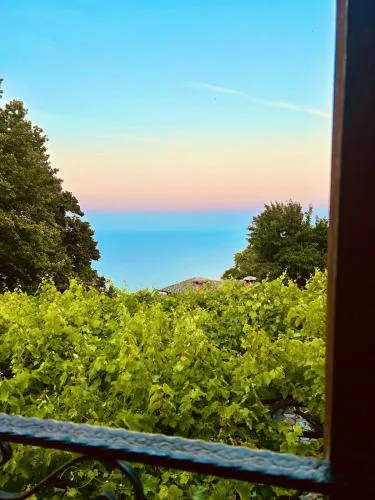 Erato's Nest - Pelion
