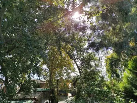 Σπίτι στην ακροθαλασσιά Casa al mare