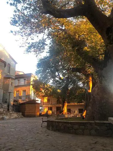 Nature Paradise Apartment