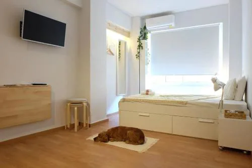 Economy apartment B1 low budget