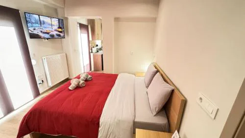 Karanasiou Apartment