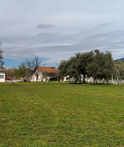Aggelos Gardenhouse of Volos