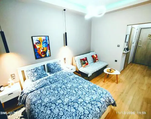 Elegant Central Studio 2 free wifi and Netflix