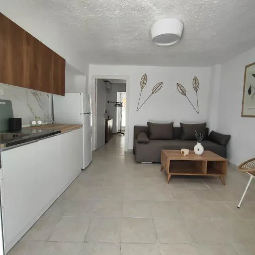 Zenith Apt #3