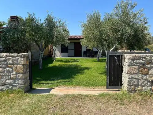 Olive Yard Toroni
