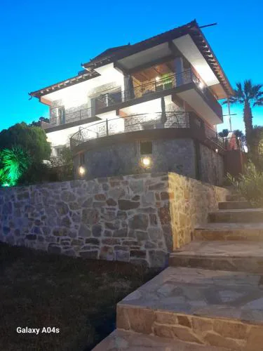 Villa Nestor