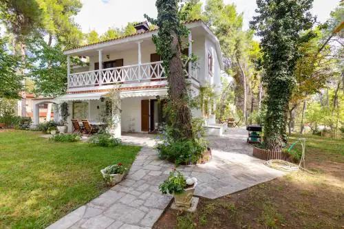 Montagna - Sani
