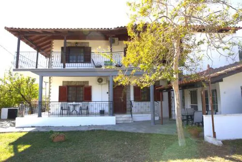 Violeta's Yard