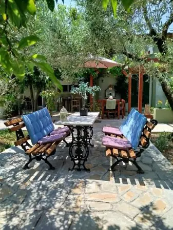 Green Olive Studios 2