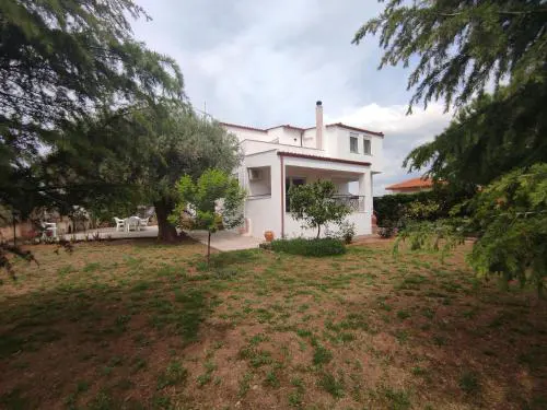 Rural Modern House