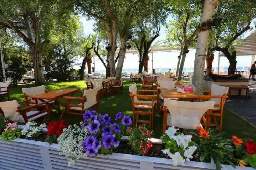 Квартира Халкидики Флогита / Ferienwohnung Chalkidiki Griechenland