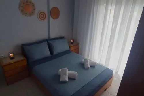 the blue house