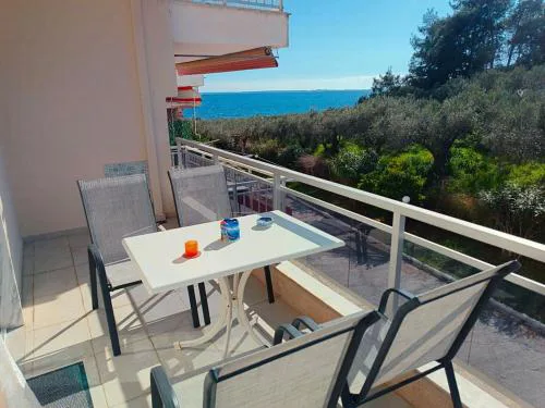 Olives by the Sea