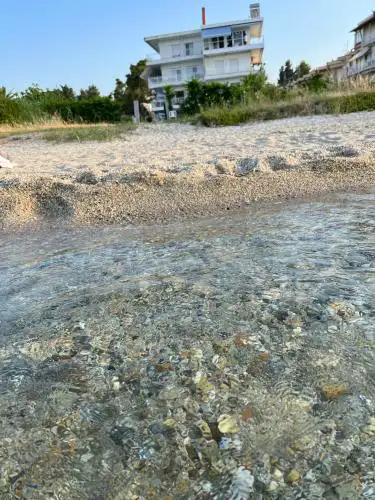 Beach next to the House Agni