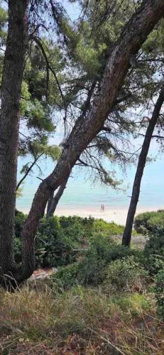 Sunny Seaside Villa-90 m from beach