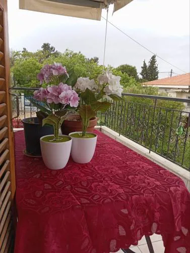 Aggela House