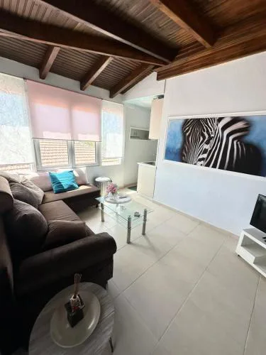 Sofia's House