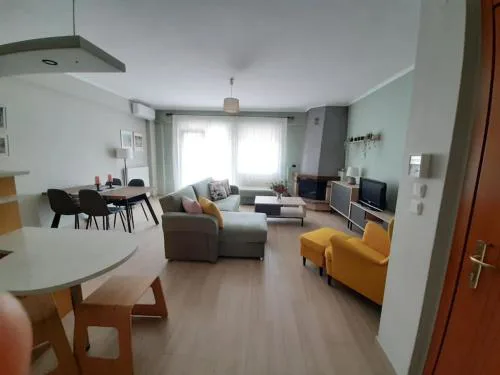 Spacious and comfy apartment