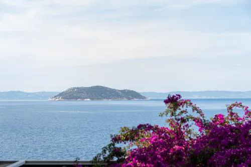 Anesis Seaview apartment 1