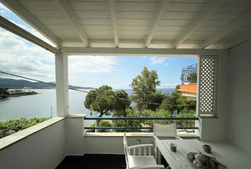Ntelis Home