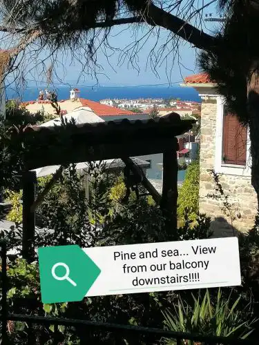 Pine & sea house