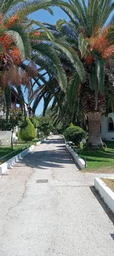 Theodora's Apartment in Palm Trees Garden
