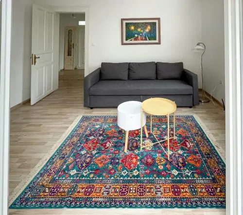 Bright & Spacious Apartment near city center.
