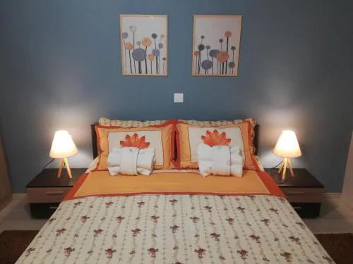 Central Apartment