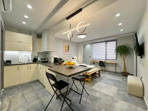 Luxury Downtown Apartment A6