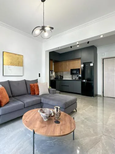 Luxury Downtown Apartment D1
