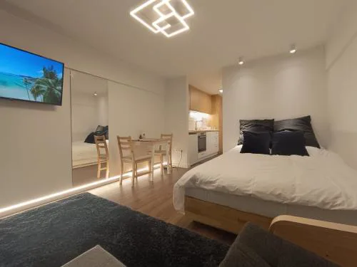 Metro studio 1 -private parking 500m-