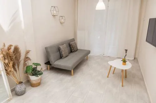 Simplicity Big Apartment