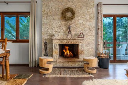 the mountain house in parnassus