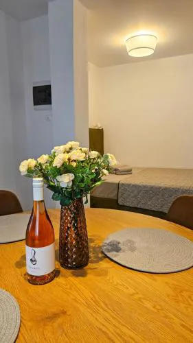 Sunshore Center apartment #2