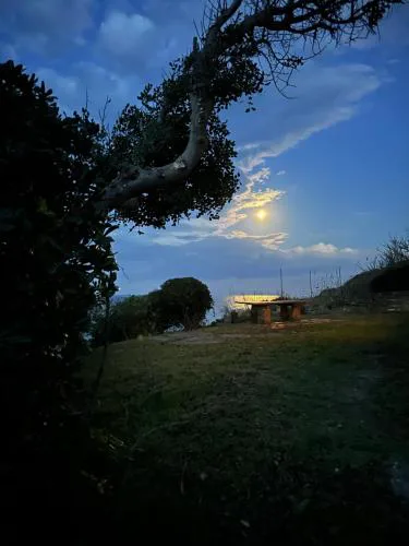 Villa Aphrodite