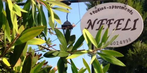 Nefeli Studios