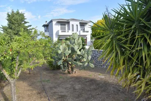 Cactus luxury apartment oreoi