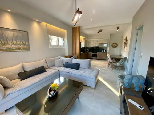 Modern Marina Vista Apartment