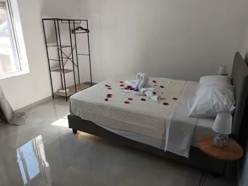 The Sun House in Paradisi