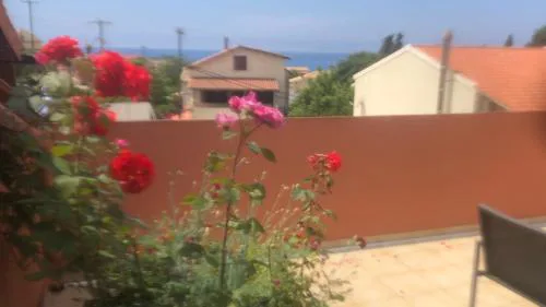 Pandora's Corfu Apartments