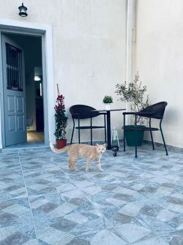 LEIVADAROS apartments