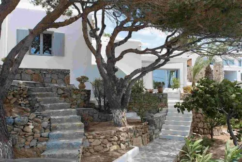 Mykonos Serendipity