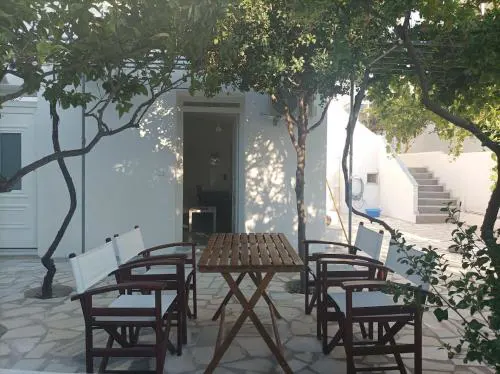 Lemon Tree 1