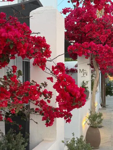 Mellow Paros